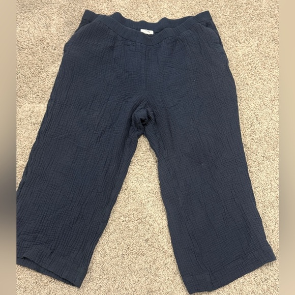 J. Jill Deep Blue Trousers - Picture 2 of 7